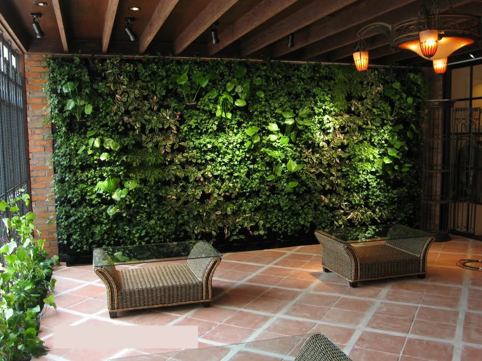 стены из вьющихся растений